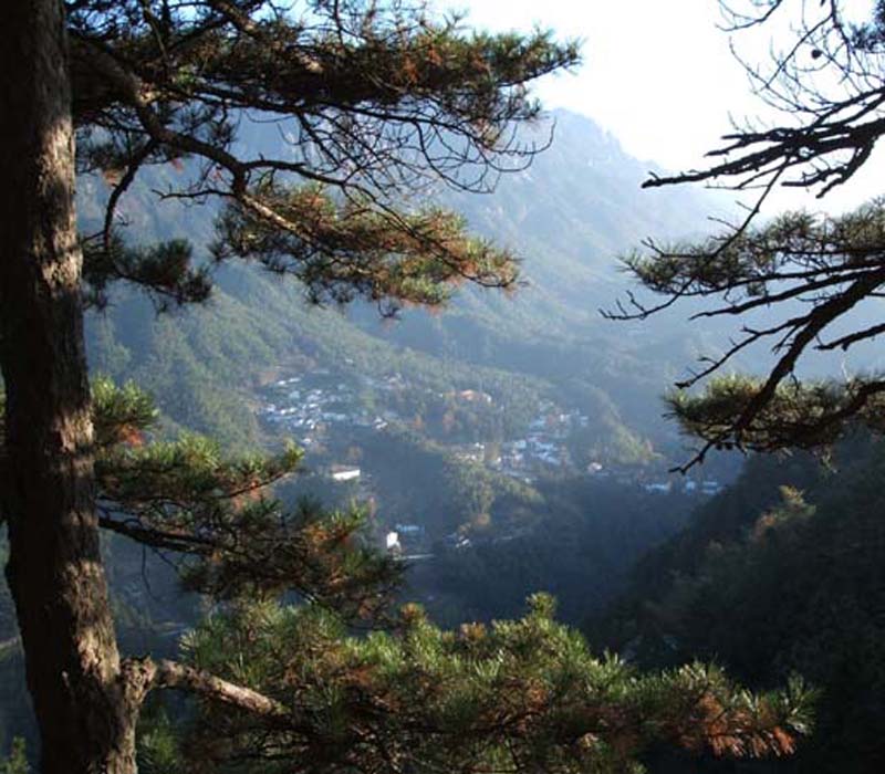 ����|�Ż�ɽ|��԰