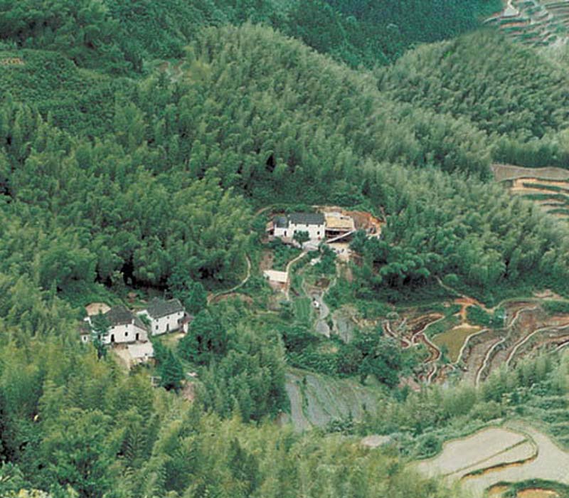 ����|�Ż�ɽ|��԰��