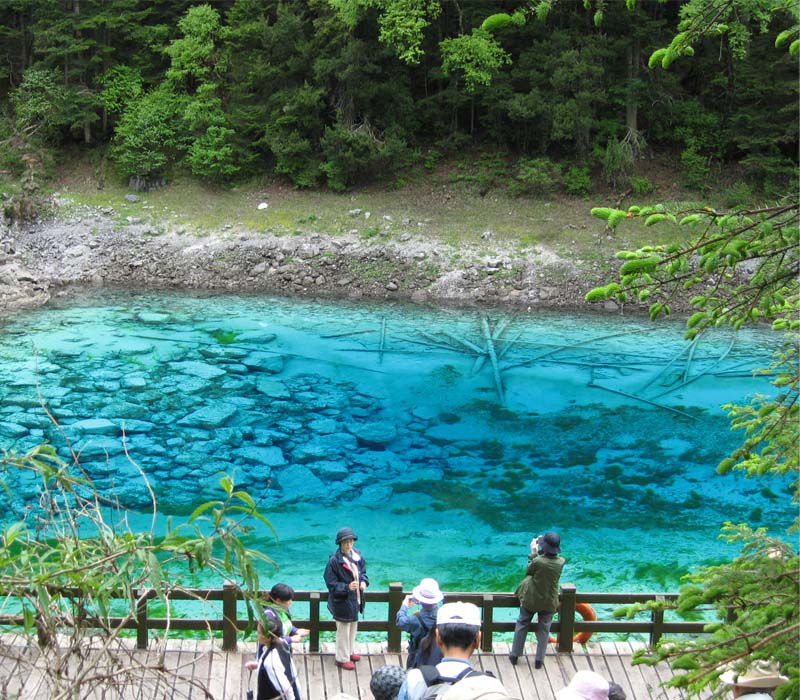 �Ĵ�|��կ��|��ʳ�