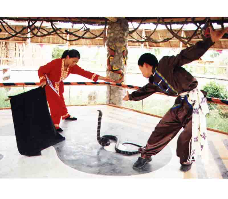 ����|����|������ׯ԰